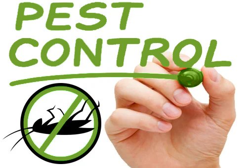 Pest Control Programs BC Pest Control